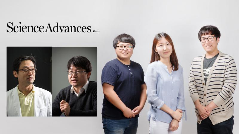 출력 20배 높인 ‘마찰전기 발전기’ 기술 나왔다